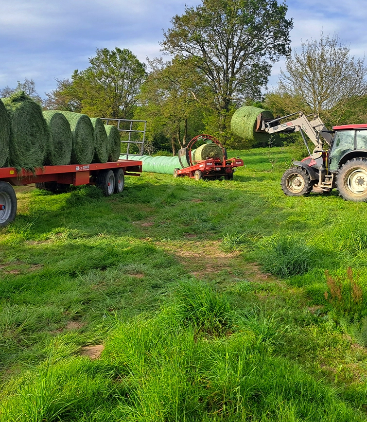 Vente produit bio, viande bovine bio en Loire-Atlantique (44) 